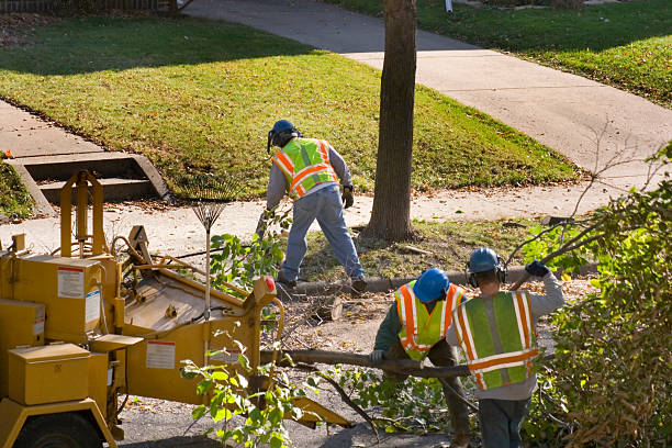 Lawn Drainage Solutions in Newark, TX